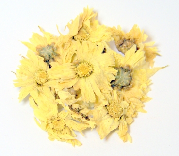 China Chrysanthemenblüten 50g